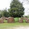 Cool Hay Tractor and Cart