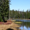 Central Oregon - McKenzie Hwy
