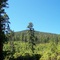 At the foot of Black Butte