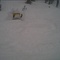 snowmobiling