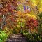 Fall colors in the Crooked Creek gap