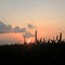Sunset Over Wheat Field