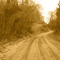 Muddy Road