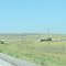 Buffalo Gap National Grassland