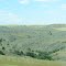 The Black Hills