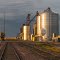 Wall, South Dakota:  Trackside Grain Silos