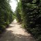 narrow road