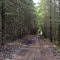 trail near Lime Kiln Point