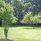 Mathias Clark Park