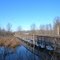 Great Swamp National Wildlife Refuge