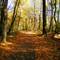 the trail