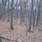 Watchung Reservation