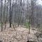 Fox Hill Reserve