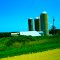Farm with Three Silos