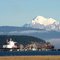 Mt. Baker