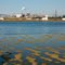 Refinery at Low Tide