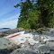 San Juans - Jack Island - West Shore 360 - nwicon.com