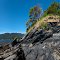 San Juans - North Cone - East Shore - Cone Islands 360 - nwicon.com