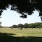 A hay field on the old Pete Dominguez Rancho.
