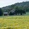 Ort Valley Farm