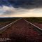 Into the Distance