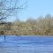 Black Warrior River
