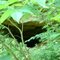 Unexplored Cave