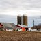 Country Farm
