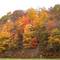 NC Fall colors