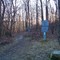 Cabin Trail: Trailhead to Linville River