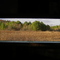 Bird Blind - Fitzgerald Lake