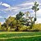 Community Gardens, high dynamic range image