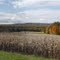 Fall Scene in Southampton, MA