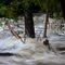 Swollen with Irene