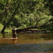 Pere Marquette River