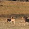 Yorklyn Pennsylvania very near Delaware Line