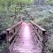 Boundary Line Trail