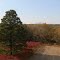 Overlooking Newton Hills State Park