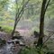 Spring Mills State Park Trail