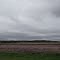 Near Homer, NE