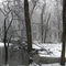 Pennypack Watershed In Winter