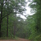 Fisher Mountain Road - near Mt. Ida, AR, USA