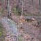 Long and winding trail, no passing