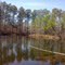 Small Pond along the Womble Trail