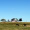 Little House on the Prairie