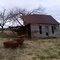 Still standing