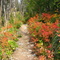 September colors in the Mission Mountains