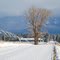 First Snow of Winter - Pablo, Montana ...11.24.10