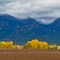 Fall Trees and Mission Mountains ...10.24.10