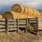 Hay Bales ...11.25.11
